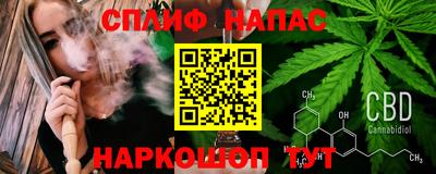 стаф Донской