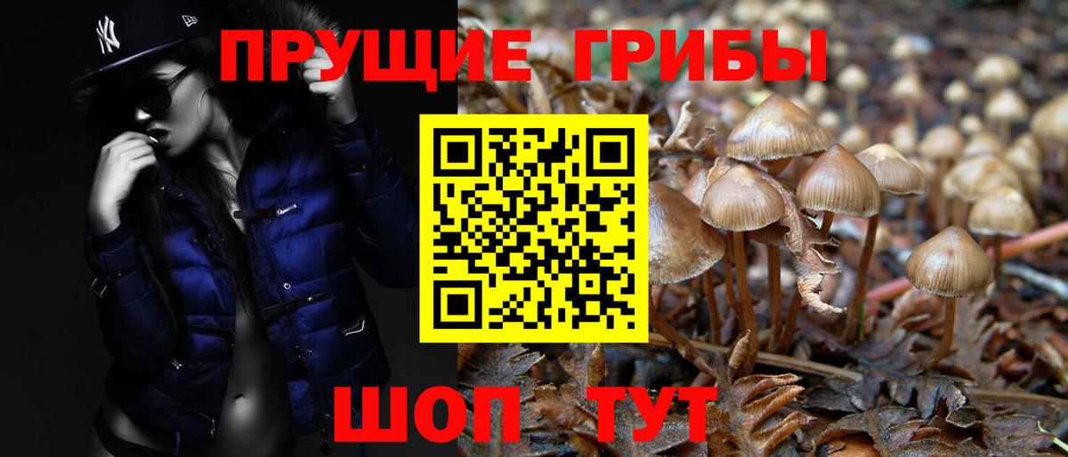 Псилоцибиновые грибы Magic Shrooms  Вход с VPN  Миллерово 